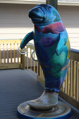 image19.jpeg